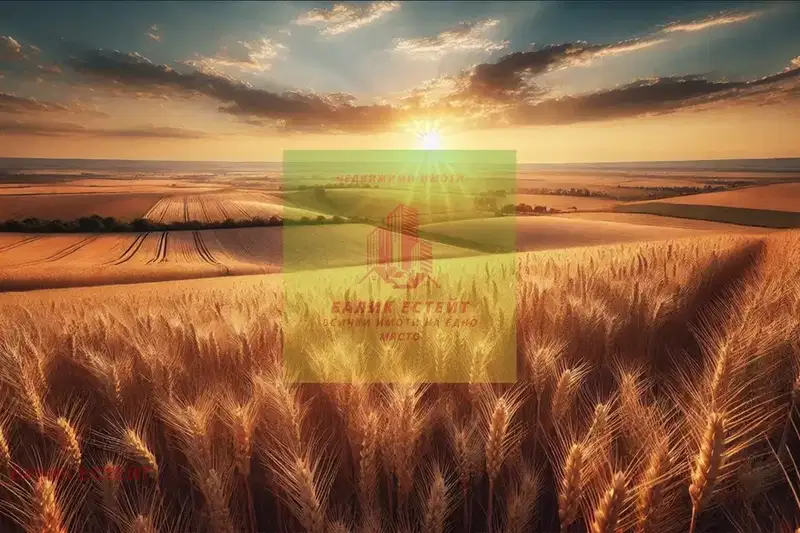 Agricultural Land in Oblast Dobrich, Geshanovo