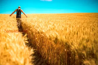 Земеделски имот в Добрич, с. Краище