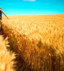 Земеделски имот в Добрич, с. Краище