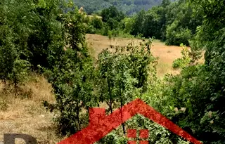 Земеделски имот в Кърджали, с. Невестино