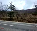 Снимка 4 — Земеделски имот в Кюстендил, с. Гюешево