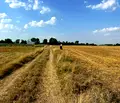 Снимка 2 — Земеделски имот в Пазарджик, Пазарджик