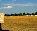 Снимка 3 — Земеделски имот в Пазарджик, Пазарджик