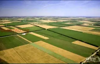 Земеделски имот в Плевен, с. Горник