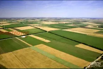Земеделски имот в Плевен, с. Горник
