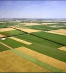 Земеделски имот в Плевен, с. Горник