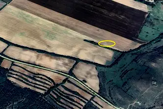 Земеделски имот в Пловдив, с. Войнягово