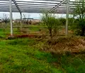 Снимка 2 — Земеделски имот в Пловдив, с. Войводиново