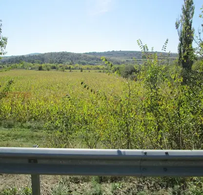 Photo 2 — Agricultural Land in област София, Gorna Malina