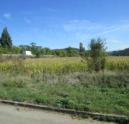 Photo 3 — Agricultural Land in област София, Gorna Malina