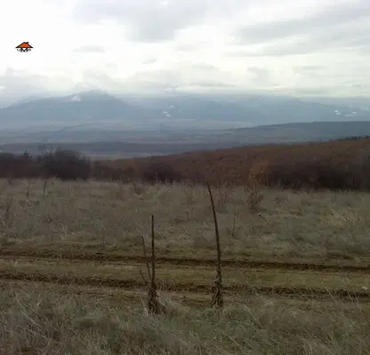Photo 5 — Arable Land in Sofia, Pchelin