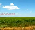 Снимка 2 — Земеделски имот във Варна, Вълчи дол