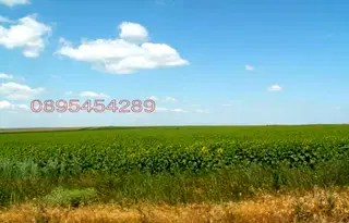 Земеделски имот във Варна, Вълчи дол