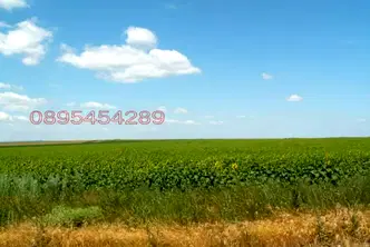 Земеделски имот във Варна, Вълчи дол