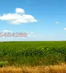 Земеделски имот във Варна, Вълчи дол