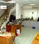Офис в Русе, Център