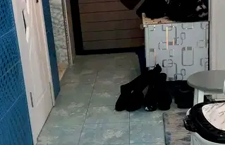 Офис в Русе, Дружба 2