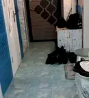 Офис в Русе, Дружба 2