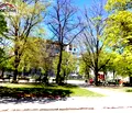 Снимка 2 — Офис в София, Сухата река