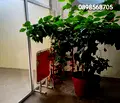 Снимка 4 — Офис в Пловдив, Тракия