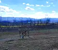 Снимка 5 — Земеделски имот в Бургас, с. Планиница