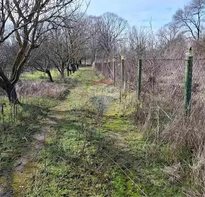 Photo 3 — Agricultural Land in Oblast Varna, Topoli