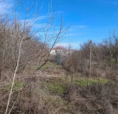 Photo 5 — Agricultural Land in Oblast Varna, Topoli