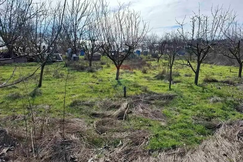 Agricultural Land in Oblast Varna, Topoli