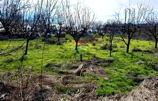 Земеделски имот във Варна, с. Тополи