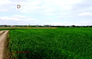 Парцел в с. Тополи