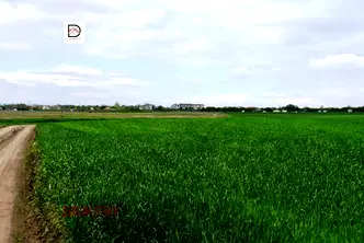Парцел в с. Тополи