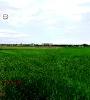 Парцел в с. Тополи