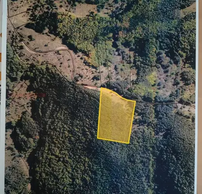 Photo 4 — Plot in Novi Iskyr