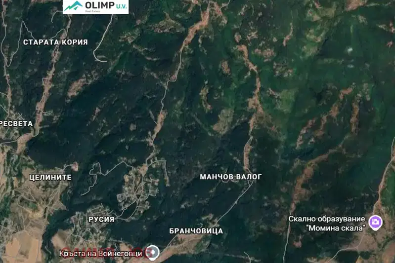 Plot in Voinegovci