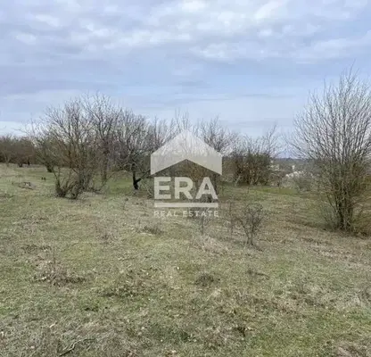 Photo 5 — Plot in Konstantinovo
