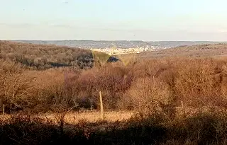 Парцел в с. Звездица