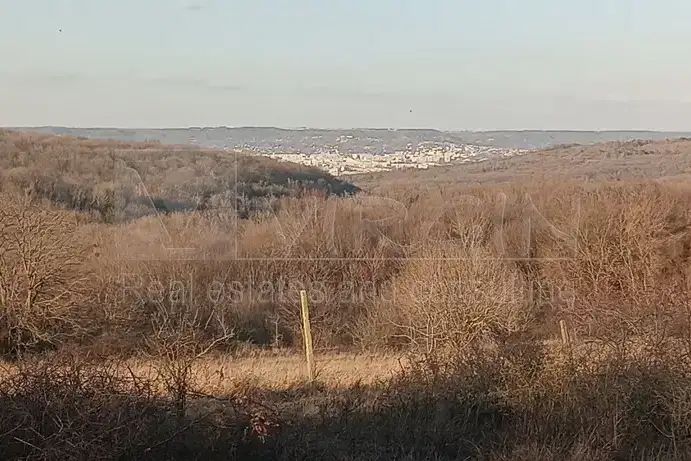 Plot in Zvezdica