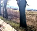 Снимка 4 — Парцел в Банкя
