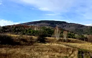 Парцел в с. Бистрица