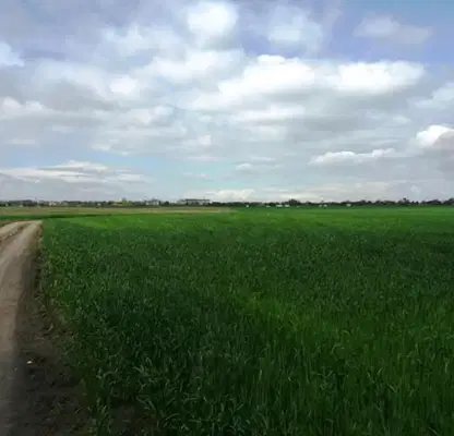 Photo 3 — Plot in Topoli
