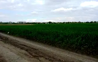 Парцел в с. Тополи