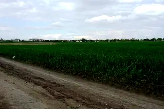Парцел в с. Тополи