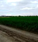 Парцел в с. Тополи