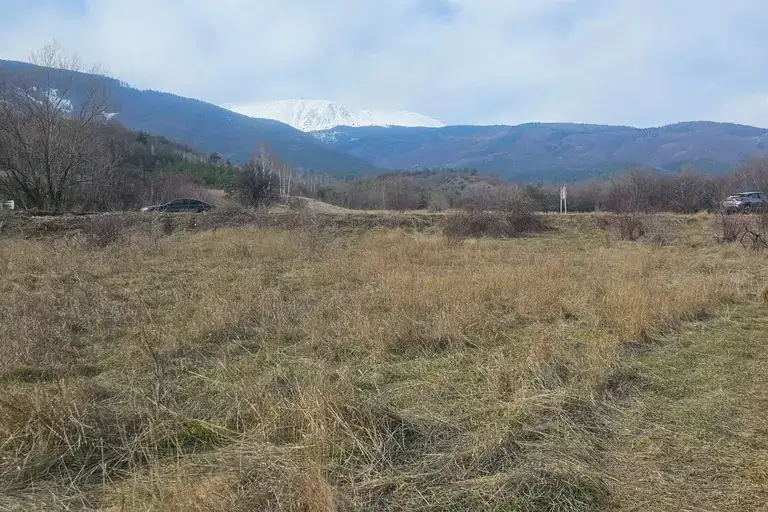Plot in Bistrica