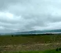 Снимка 5 — Парцел в с. Тополи