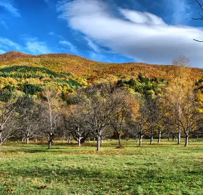 Photo 2 — Plot in Kokalyane