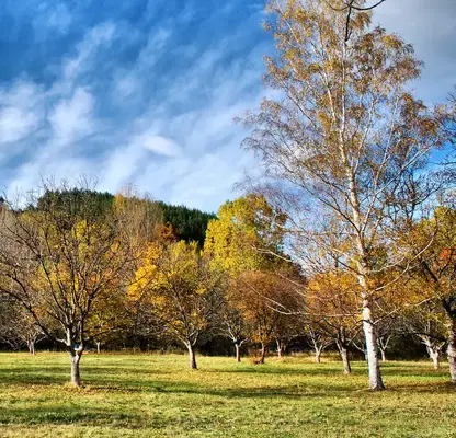 Photo 3 — Plot in Kokalyane