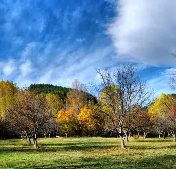Photo 5 — Plot in Kokalyane