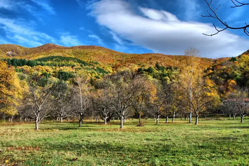 Plot in Pancharevo