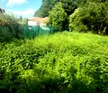Снимка 2 — Парцел в с. Мърчаево